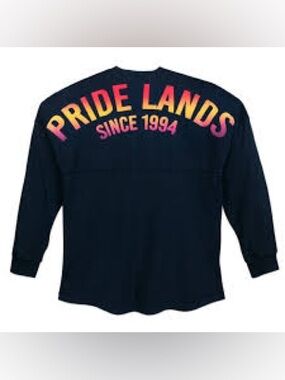 Disney “Spirit Jersey”